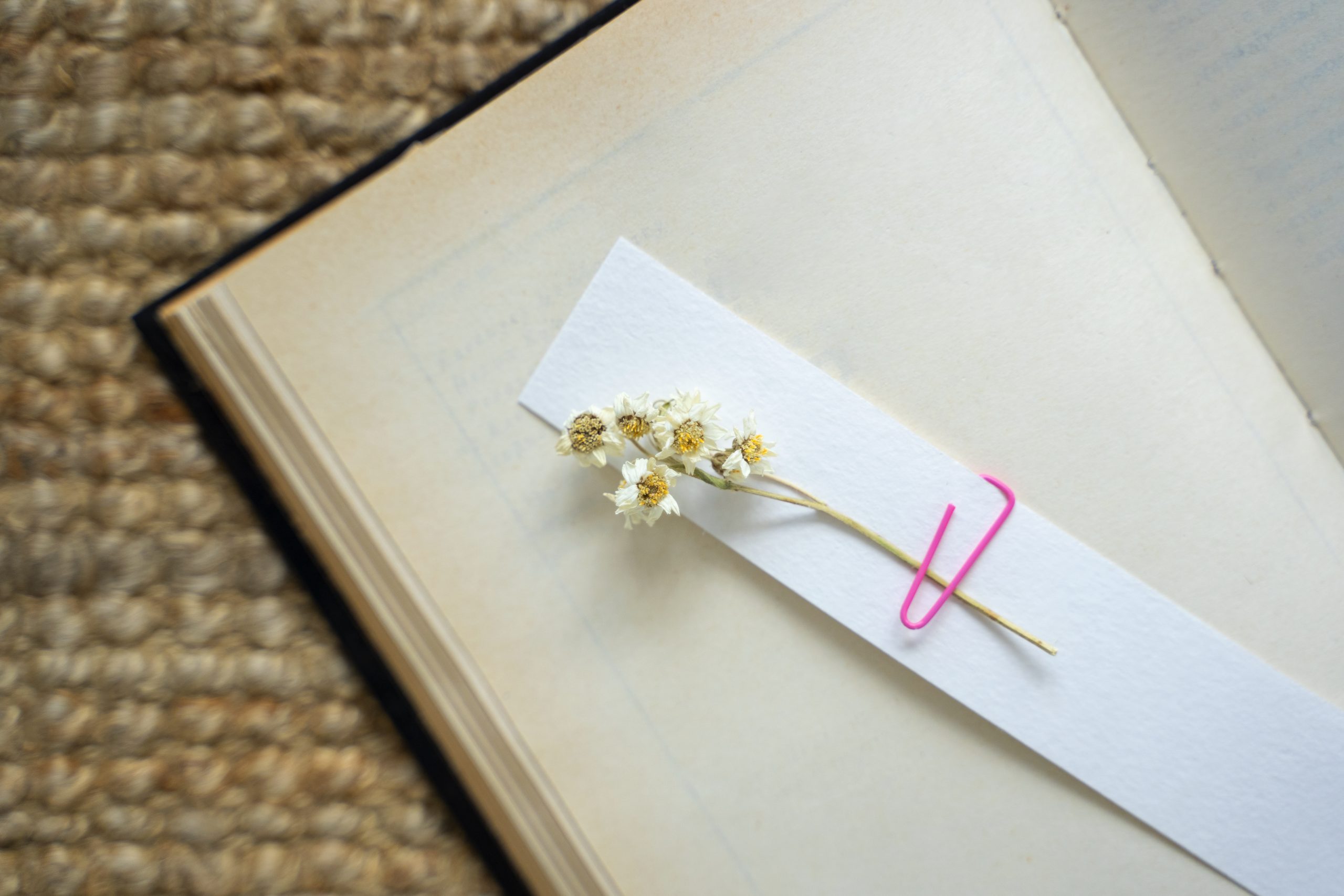 Concurs Punt de Llibre Castellvell del Camp 2026